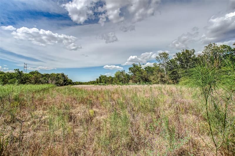 Open field of tall grass with a line of trees and a transmission tower under a cloudy blue sky