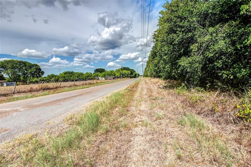 Paved road with a grassy shoulder running alongside a dense tree line, with fenced land across the road