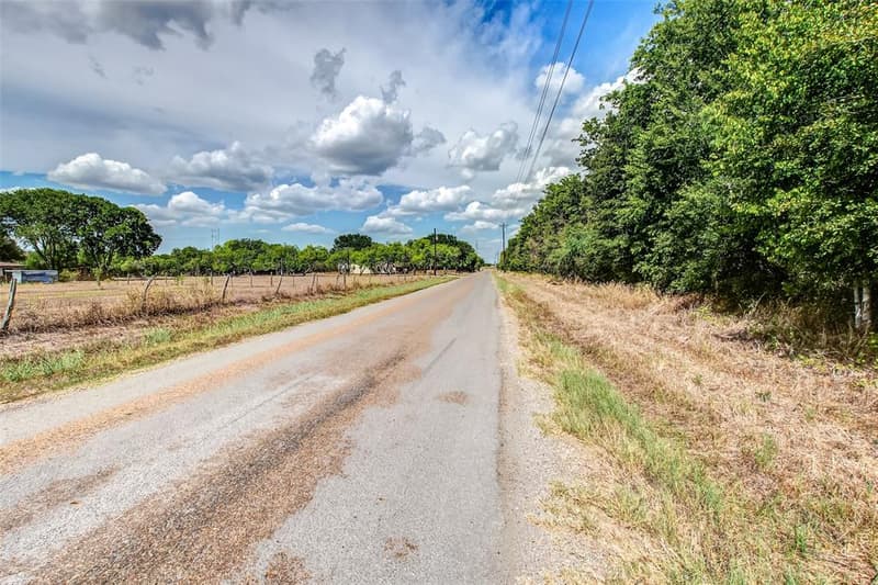 Paved road with a dry grass shoulder beside a tall tree line, with overhead power lines along the edge