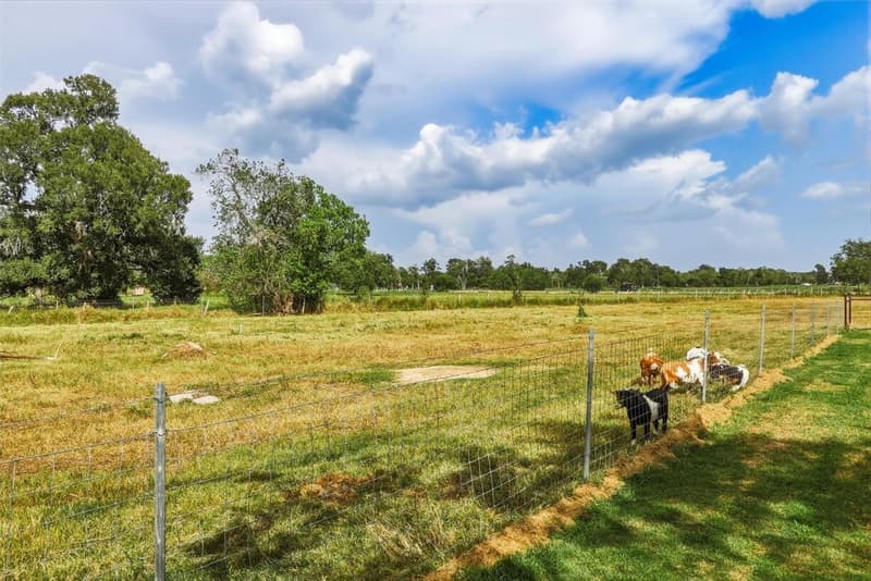 Wire-fenced pasture with tall grass and mature trees, several goats standing along the fence line
